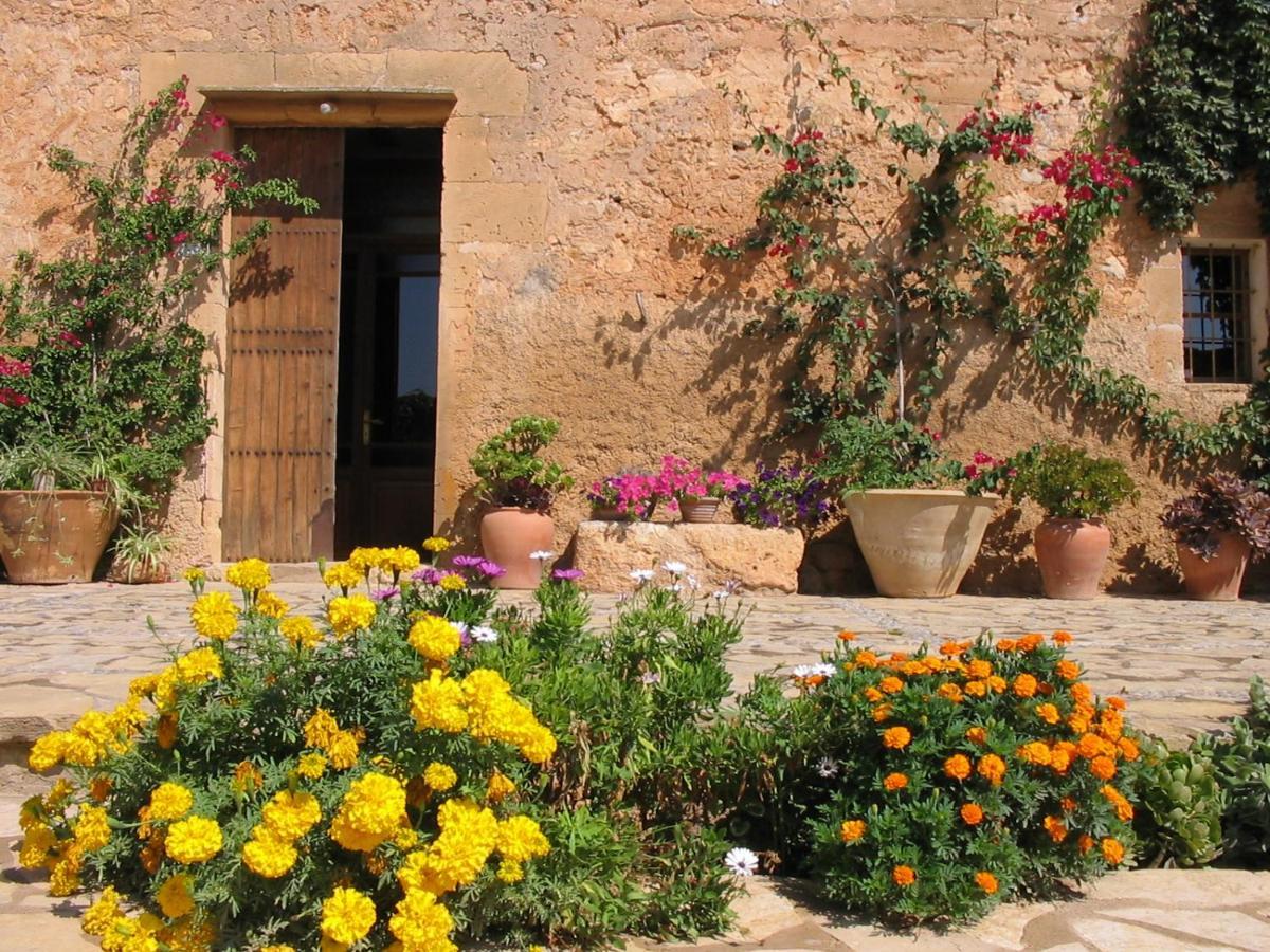 Farm stay Finca Sa Cova Vella